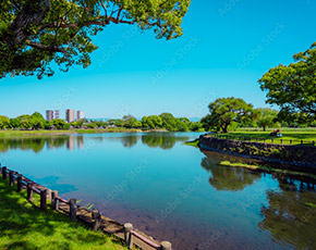 水前寺江津湖公園