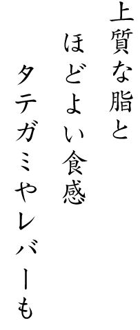 上質な脂とほどよい食感